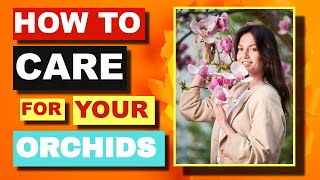 ORCHID CARE FOR BEGINNERS [upl. by Trebleht373]