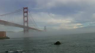 Foghorns on the Golden Gate Bridge Natural Sound 45mins [upl. by Yslek]