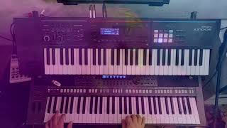 Darkside by Alan Walker Yamaha PSR S770 amp Roland Juno DS [upl. by Goody]