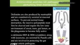 Immunology complement opsonization inflammation and defensins [upl. by Rhtaeh4]