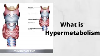 What is Hypermetabolism [upl. by Akirderf]