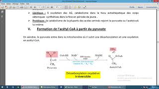 Métabolisme des glucides 2 [upl. by Jehanna]