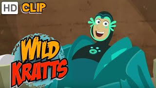 Wild Kratts  Martin Becomes a Barnacle [upl. by Candis]