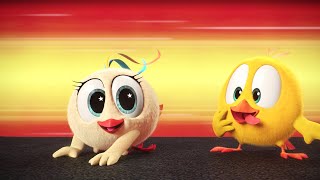 At full speed  Wheres Chicky  Cartoon Collection in English for Kids  New episodes HD [upl. by Herwick]