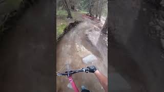 canyon mtb downhill [upl. by Enirual]