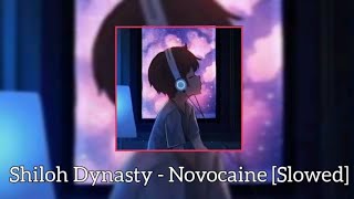 Shiloh Dynasty  Novocaine Slowed [upl. by Anida]