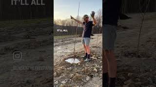 Pruning newly planted cherry trees gardening familyfarm calendar plantsmakepeoplehappy [upl. by Early561]