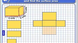 Drawing Nets and using Nets to Calculate Surface Area [upl. by Neroled]