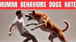 30 Human Behaviors Dogs Hate the Most [upl. by Corinne]