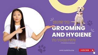 Pets Grooming and Hygiene Tips I Pet Accessories I Online Pet store [upl. by Assiroc]