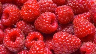 Health Benefits of Raspberries [upl. by Elisa]