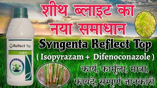 Syngenta Reflect top  Reflect top fungicide  Isopyrazam  Difenoconazole  शीथ ब्लाइट का इलाज [upl. by Heiner681]