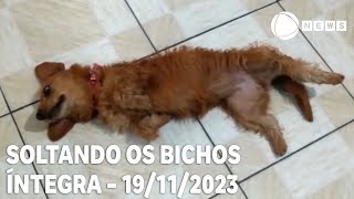 Soltando os Bichos  19112023 [upl. by Kyte]