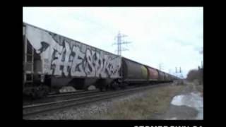 SDK 325 FR8 TRAIN GRAFFITI [upl. by Enelam]