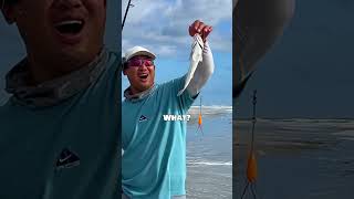 FAKE vs REAL bait Does this really work fishing [upl. by Ias]