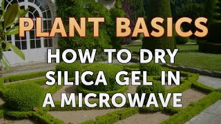 How to Dry Silica Gel in a Microwave [upl. by Raddi]