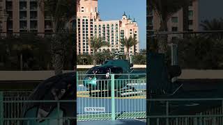 Helicopter Take Off  Atlantis Helipad  Dubai🇦🇪 dubai shorts helicopter [upl. by Batchelor]