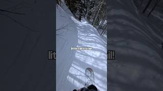 Snowboarding a mountain bike trail snowboarding [upl. by Magda368]