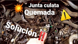 JUNTA CULATA QUEMADA💥 MOTOR CITROEN 💥REPARAMOS CULATA ❌❌❌ [upl. by Neirad]