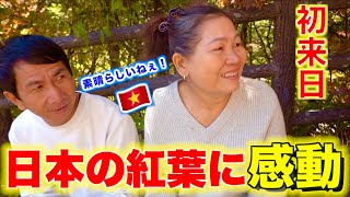 ベトナム両親が人生初の紅葉を見た反応は！？一生思い出になりました！【外国人の反応】 [upl. by Inaluahek]