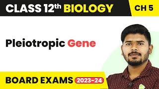 Pleiotropic Gene  Principles of Inheritance and Variation  Class 12 202223 [upl. by Bud]