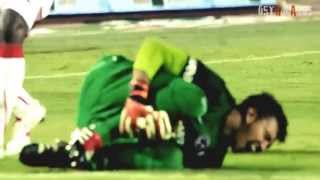 Fernando Muslera Galatasaray Best Of 2013 ᴴᴰ [upl. by Kcirederf]