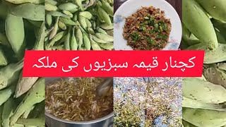 kachnar qeema sabziyo ki malka recipe by Naina food [upl. by Proudman]