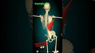 Latissimus Dorsi action in Dance viral anatomy medicalstudent doctor shorts short viralvideo [upl. by Annodahs]