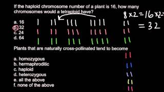 Haploid diploid triploid and tetraploid plants [upl. by Cohberg801]