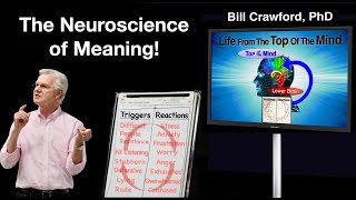 The Neuroscience of Meaning [upl. by Libnah]