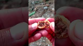 Figs  Dry Anjeer Seeds shortvideo anjeer fruit shorts satisfying 4k dryfruits garden new [upl. by Tamar]