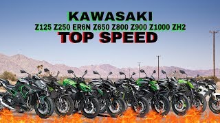 Kawasaki Z125 Z250 Z300 ER6N Z650 Z800 Z900 Z1000 ZH2 Top Speed [upl. by Armillia603]