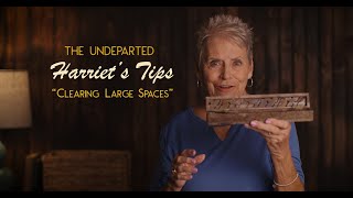 Medium Harriet Shager Tips quotClearing Large Spacesquot  The Undeparted [upl. by Gish]