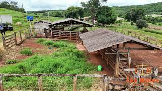 Fazenda de 15 alqueires em Tapuirama [upl. by Xela337]