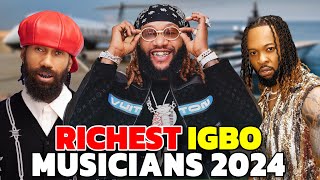 Top Richest Igbo Musicians 2024 amp Their Networth [upl. by Hacker]