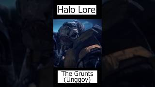 Grunts Explained  Unggoy  Halo Lore [upl. by Oliana]