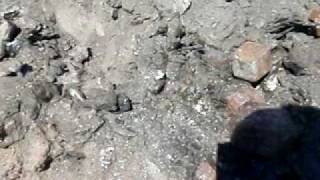 Digging for Giant Garnet crystals Broken Hill NSW Australia Pt2 [upl. by Halla]