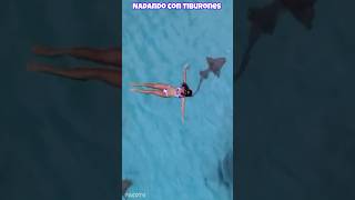 Nadando con Tiburones [upl. by Ardaed458]