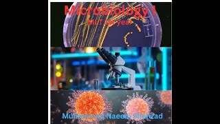 Lecture 3 MLT 1st Coagulase Test Microbiology 1 By Muhammad Naeem Shehzad [upl. by Strang645]