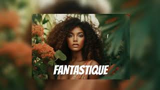 FREE Afro Zouk InstrumentalJoé Dwèt Filé ✘ Ronisia quotFANTASTIQUEquot Type beat 2024 [upl. by Nnywg]