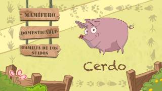 Las características del CERDO [upl. by Sarson]