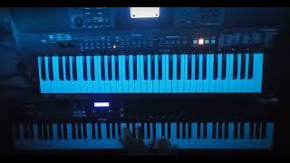 Rammstein  Ich Will Keyboard Cover [upl. by Andert]