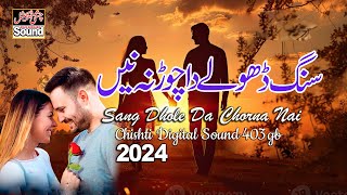 Sang Dhole Da Chorna Nai  New Saraiki Song 2024  سنگ ڈھولے دا چوڑنہ نیں  Sad Song Punjabi [upl. by Eussoj]