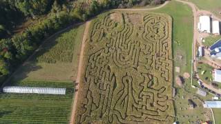 Noggins Corn Maze RAW Unedited [upl. by Noyahs679]