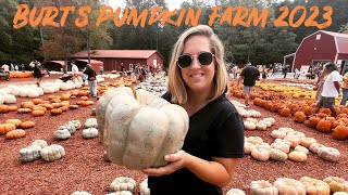 Burts Pumpkin Farm  Whats new in 2023 [upl. by Alak598]