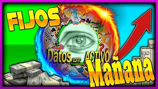 ¡👑CUAL ES TU ANIMALITO DE LA SUERTE👑✅✅ DIRECTO CORTO datoslottoactivoA➡️🔥 [upl. by Valenba342]