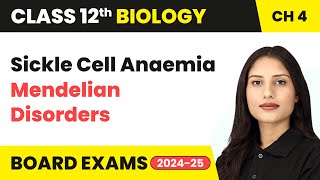 Sickle Cell Anaemia  Mendelian Disorders  Class 12 Biology Chapter 4  CBSE 202425 [upl. by Nancy]