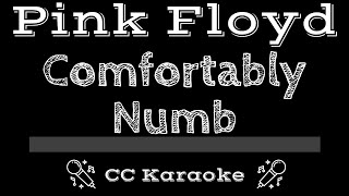 Pink Floyd • Comfortably Numb CC Karaoke Instrumental Lyrics [upl. by Hedvige442]