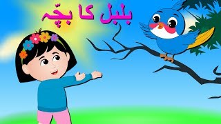 Bulbul Ka Bacha Urdu Poem  بلبل کا بچہ  Urdu Nursery Rhyme Collection for Babies [upl. by Gershom]