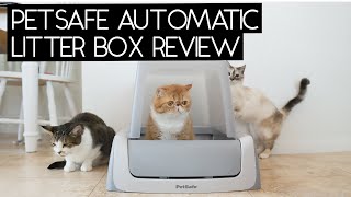 PETSAFE Scoopfree Self Cleaning Litter Box Review  Sven and Robbie [upl. by Klehm]